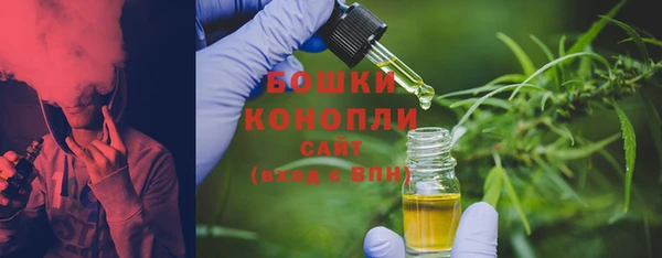 PSILOCYBIN Бронницы