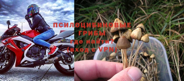 PSILOCYBIN Бронницы