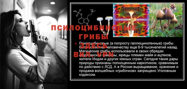 PSILOCYBIN Бронницы